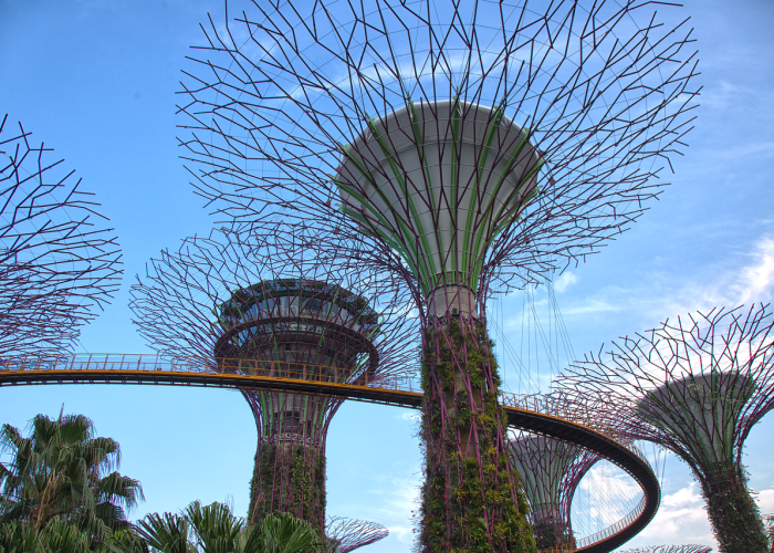 离穗是什么意思广州还是广东/离穗是指离开广州吗 离穗是什么意思广州还是广东/离穗是指离开广州吗