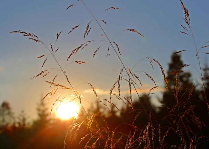 【石家庄上空现2个太阳是真的吗,石家庄出现两个太阳是什么原因】