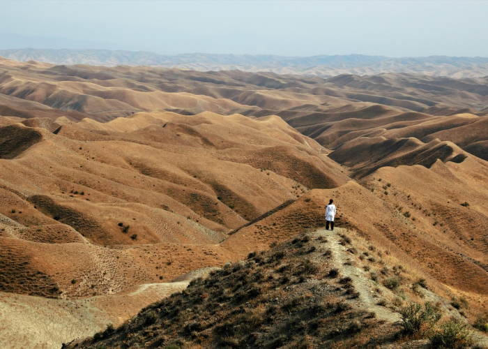 老君山疫情方案最新（老君山最新政策）