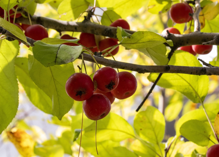 【清远疫情最新消息多少例了/清远疫情最新动态】