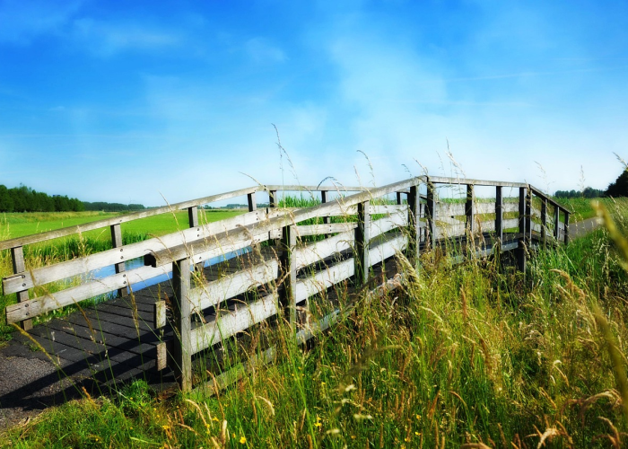 终于明白“丽水跑得快其实真的有透视”(千真万确有挂)-知乎 终于明白“丽水跑得快其实真的有透视”(千真万确有挂)-知乎