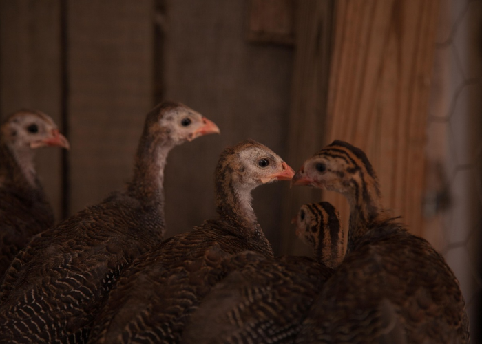 终于发现“经典比鸡其实真的有透视”(原来确实有挂)-知乎 终于发现“经典比鸡其实真的有透视”(原来确实有挂)-知乎