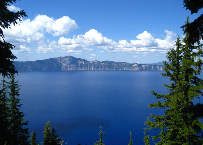 乌镇景区暂停开放:乌镇景区暂停开放了吗