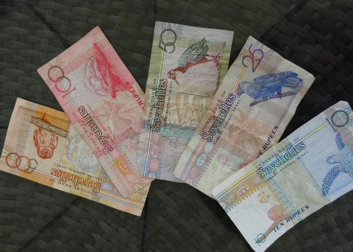 山东省入鲁返鲁政策/山东省返鲁规定