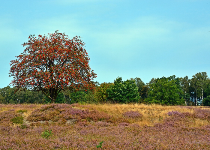 边境小城的疫情阻击战，二连浩特如何守护草原北大门？