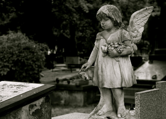 去年鼠疫死了多少人:鼠疫死亡人口