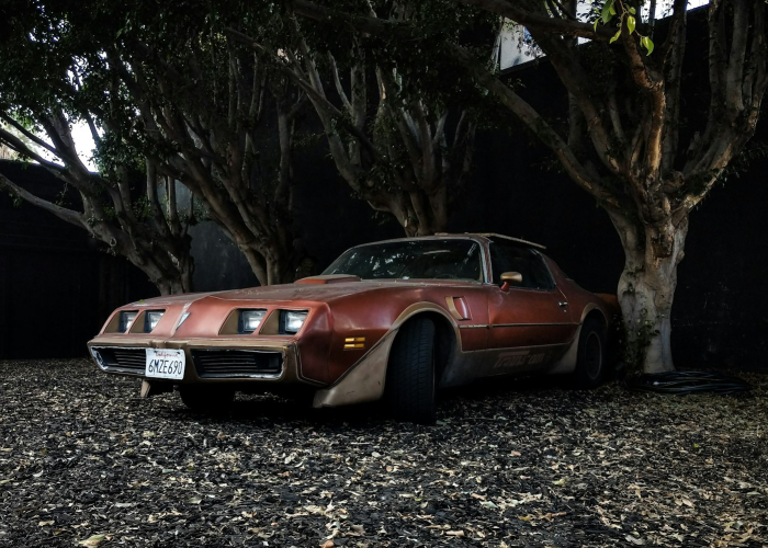 我有车宝车辆信息查询/只输入车牌号查车主免费