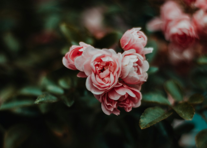 一分钟揭秘“点点麻将是不是有透视辅助”(开挂怎么弄)-知乎