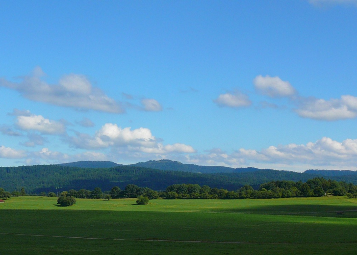 十一草原旅游哪里好:十一去哪个草原比较好