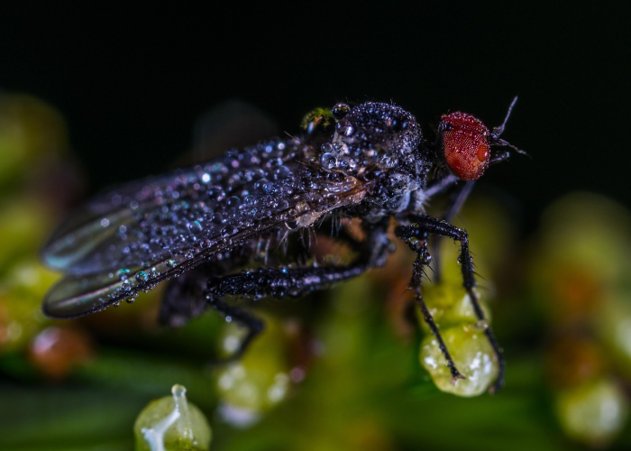惊人内幕“JJ麻将透视挂神器”(原来确实是有插件)-知乎