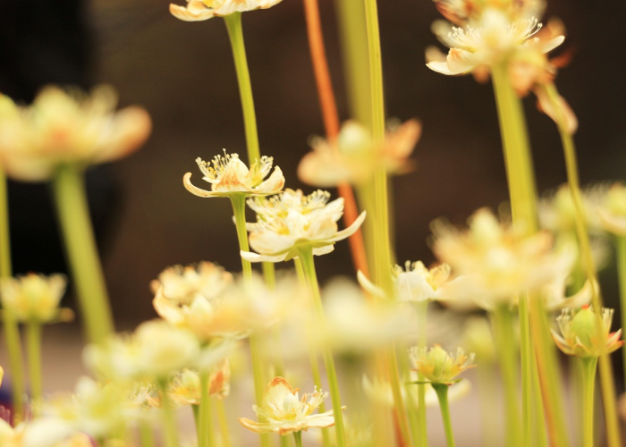 数字背后，是115个等待被看见的春天