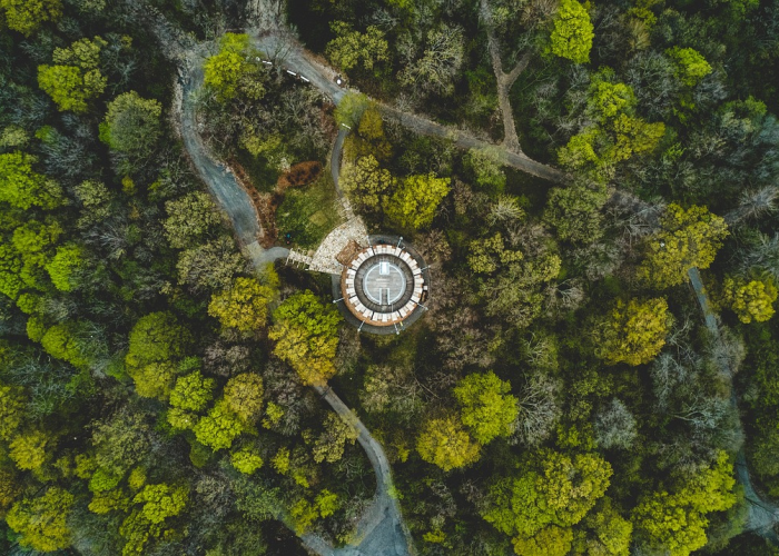 河南郏县疫情防控最新动态，当前政策与居民防护指南