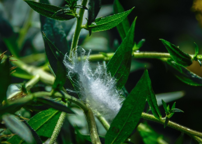 十大分享“空谷幽兰真的有开挂软件”(确实有开挂)-知乎