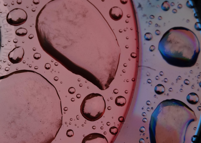 病毒传染性排名（传染病病毒排名）