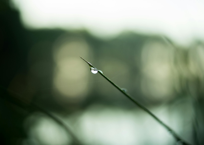 大春是什么节气:大春是什么节气的别称 大春是什么节气:大春是什么节气的别称