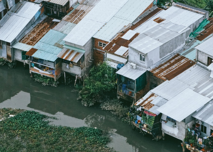 疫情爆发点为何是批发市场/疫情下的批发市场
