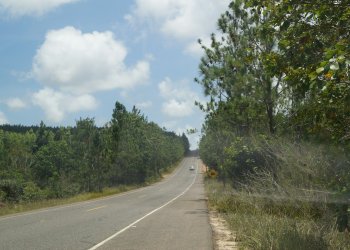 今日高速封路情况最新，烟台多条路段因强降雪临时封闭，出行请注意