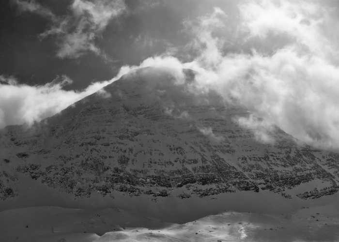 全国中高风险地区明细，一张动态地图上的抗疫战场