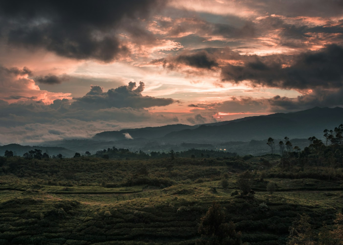 北京大雾霾/北京雾霾天气多吗