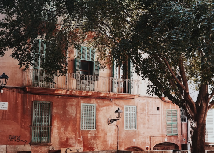 合浦防疫，一座千年港城的静与动