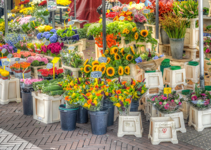 石家庄市跳蚤市场（石家庄市跳蚤市场在哪里）