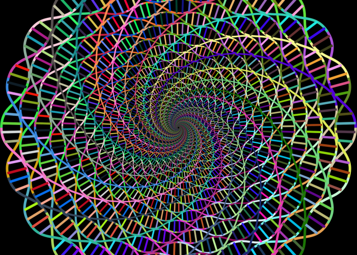 核酸检测是阴性抗体阳性是新冠吗,有传染吗/核酸检测阴性抗体阳性会传染吗