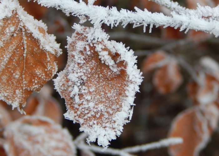 【全国疫情最新情况实时动态图表查询/全国疫情最新情况实时动态图表查询下载】