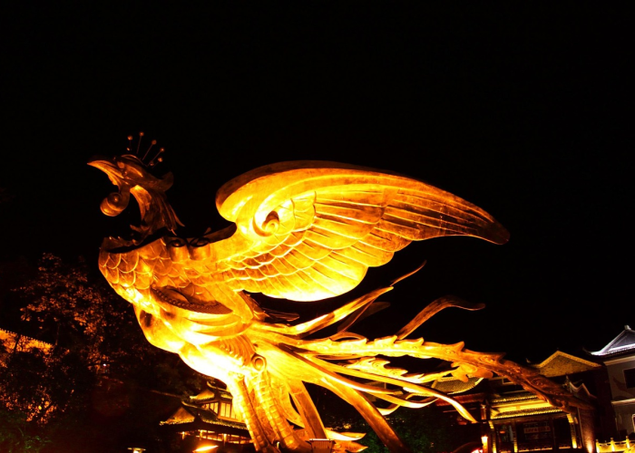 泉州张家界旅游（张家界旅游攻略价格）