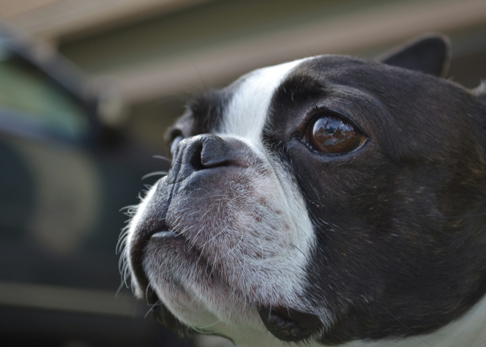不发烧,浑身酸疼难受怎么回事/不发烧浑身酸疼难受怎么回事流黄鼻涕