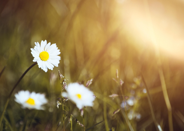 清明雨上,慎终追远,2021年,我们这样赴一场春天的祭奠 清明雨上,慎终追远,2021年,我们这样赴一场春天的祭奠