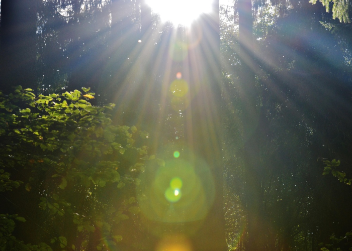 5月30日,被遗忘在时光褶皱里的文明密码 5月30日,被遗忘在时光褶皱里的文明密码