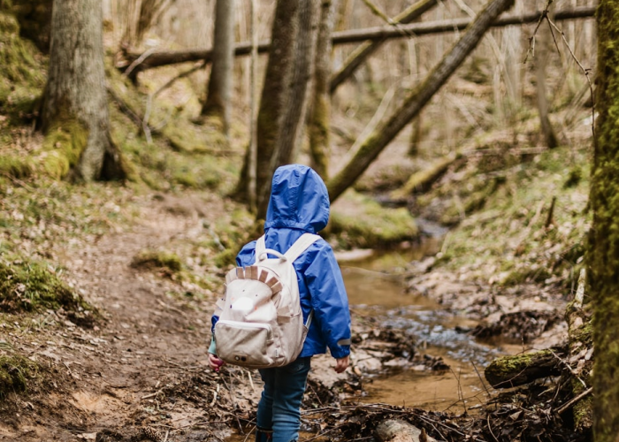 免费通行背后,清明节的路与家 免费通行背后,清明节的路与家