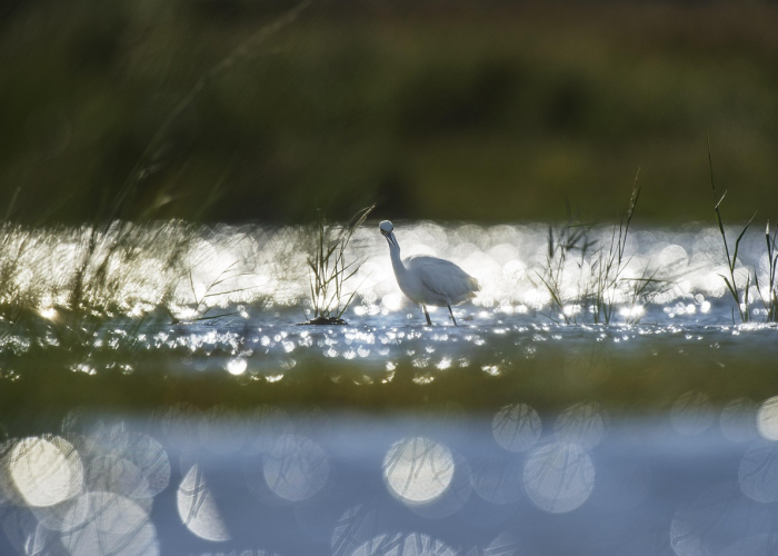 「重大消息」“十三十三水有什么可以开挂”(原来确实有挂)-知乎