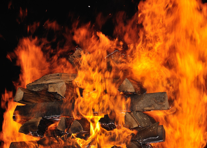 零感染国家，全球抗疫中的孤岛与背后现实