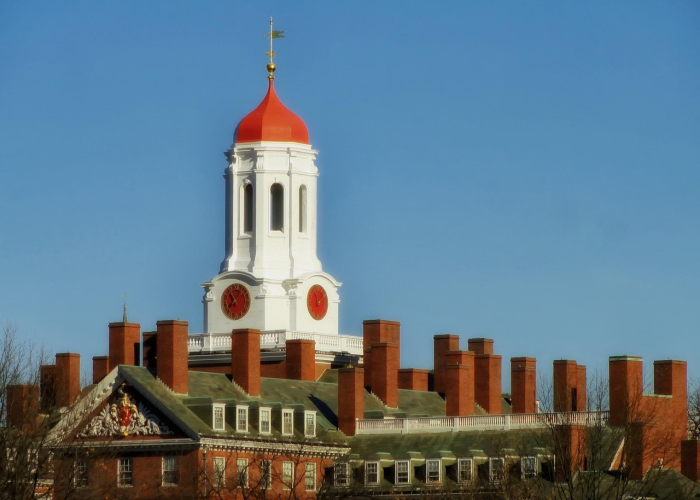 十大通报“白金岛十胡卡其实真的有透视”(详细开挂教程)-知乎