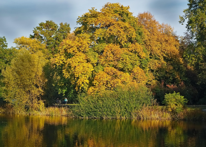 2月份放假几天？这份拼假攻略让你轻松规划春日时光