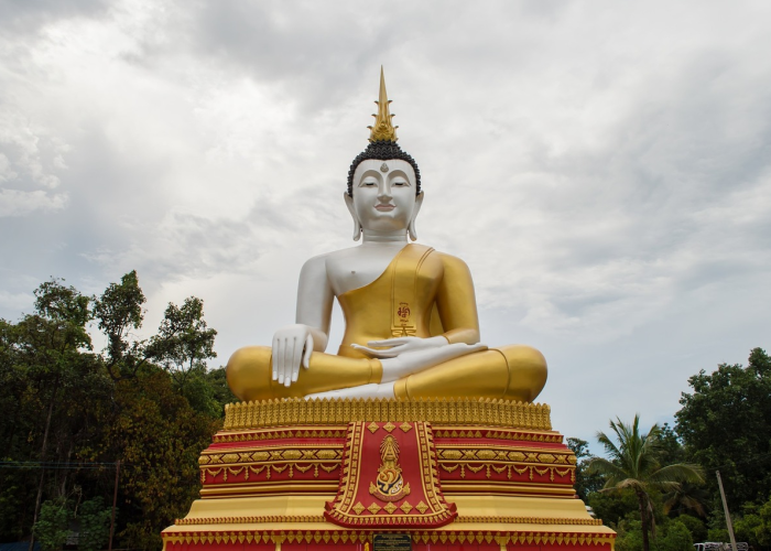 雪域新生，西藏和平解放的历史时刻与时代意义