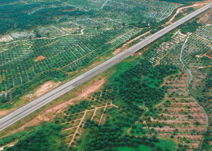 苏州限行政策,古城保护与交通治理的平衡之道 苏州限行政策,古城保护与交通治理的平衡之道