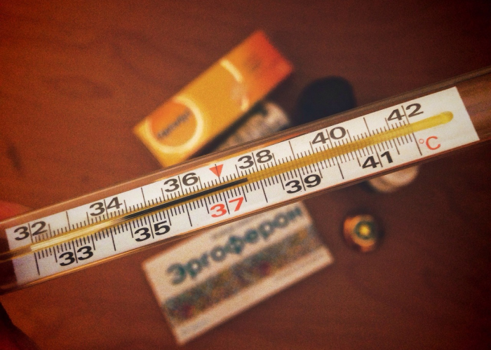 广东近期高发病毒解析，主要病原体与典型症状指南