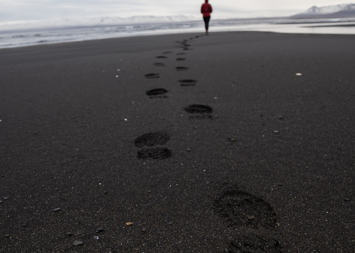 威海市，以精准防控筑起海岸线上的健康长城