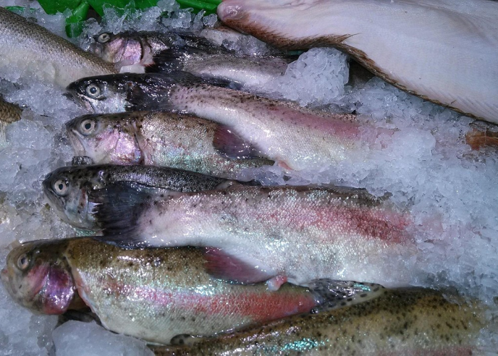 进口海鲜惊现病毒，冷链为何成防疫暗礁？