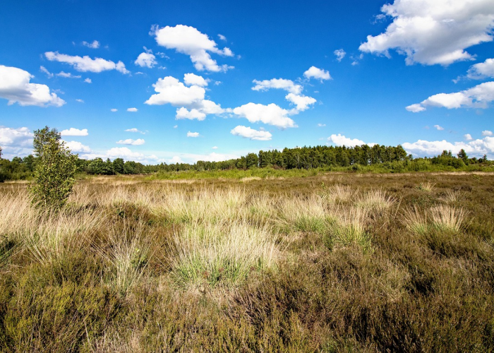 贵州六盘水，科学精准防控，守护中国凉都健康防线