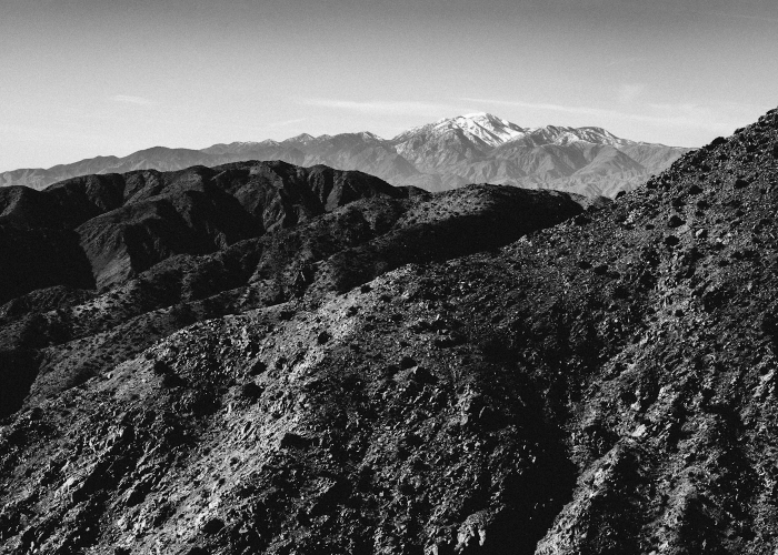 石家庄高速口封闭查询，今日最新动态与实时查询指南