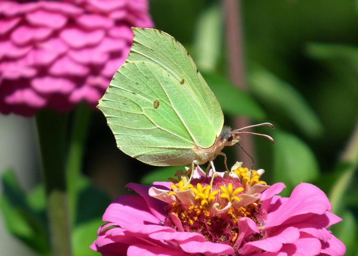 了解十大“空谷幽兰是不是有透视辅助”(原来确实有挂)-知乎 了解十大“空谷幽兰是不是有透视辅助”(原来确实有挂)-知乎